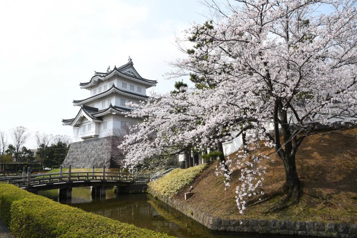 🏯 미즈키 성터 (미즈키죠 아토) 이미지 6